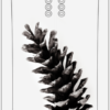 TB "ROD" SNOWBOARD – Image 7