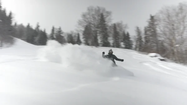 TB "ROD" SNOWBOARD – Image 15